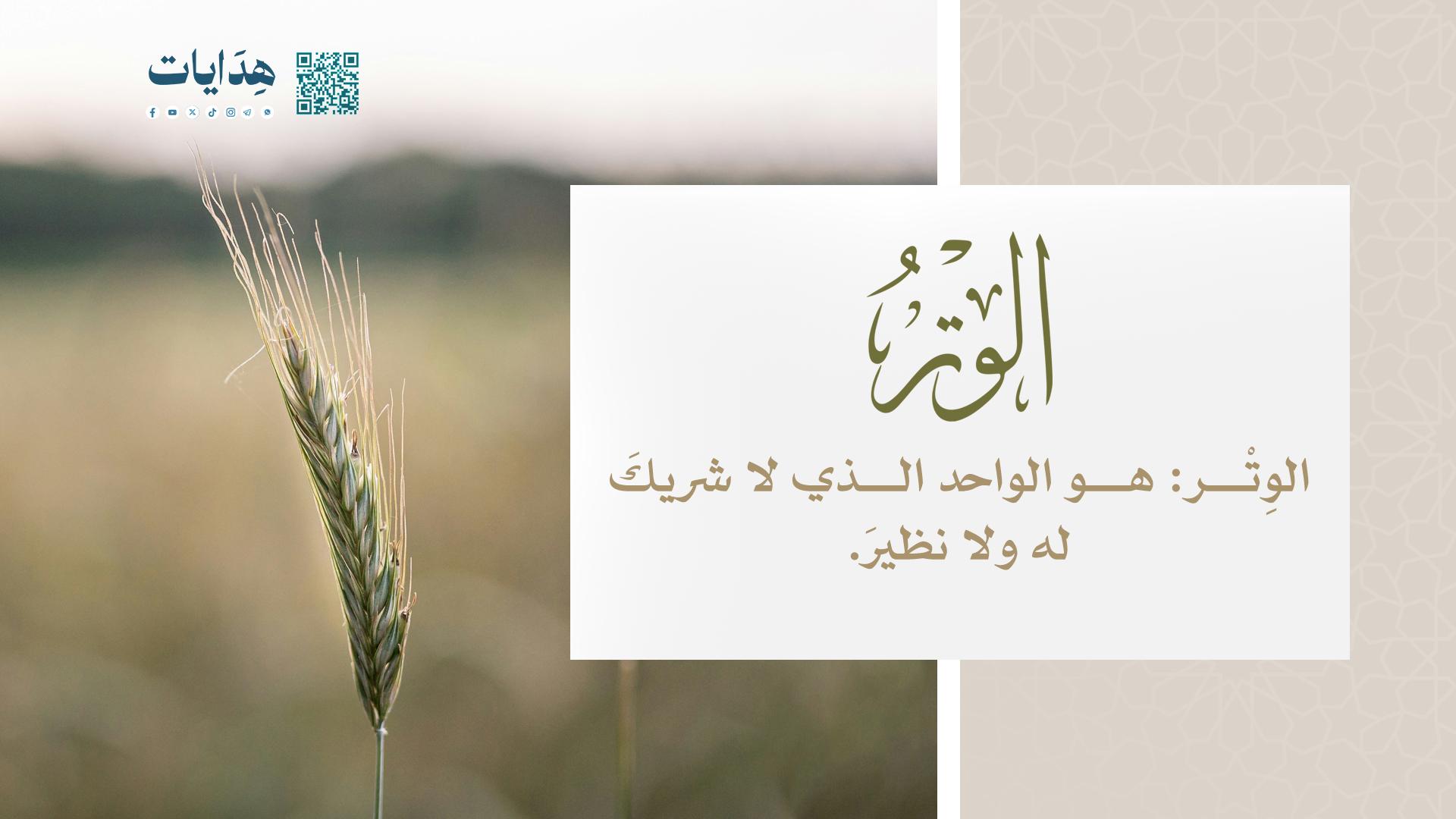 الوتر
