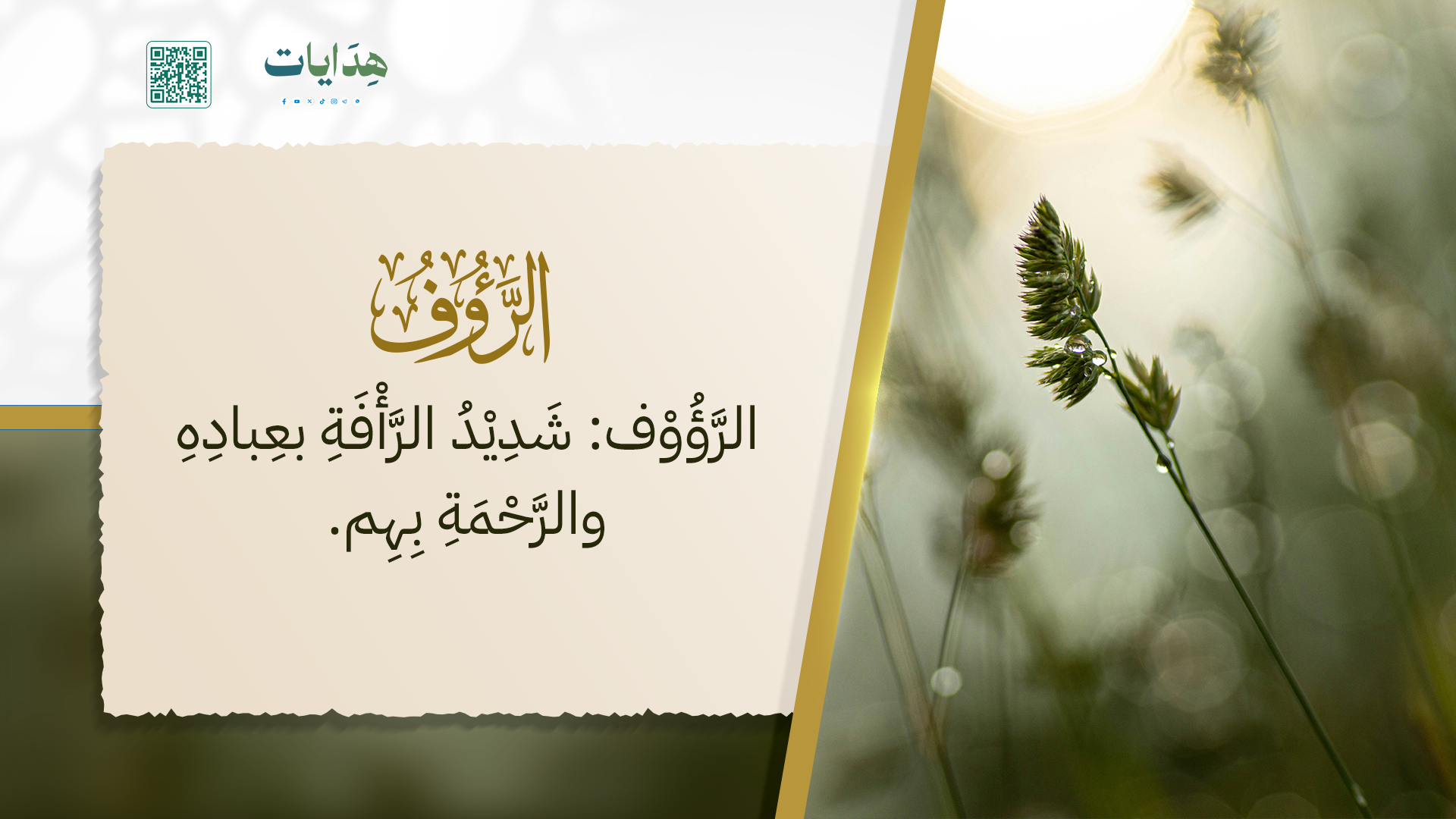 الرؤوف