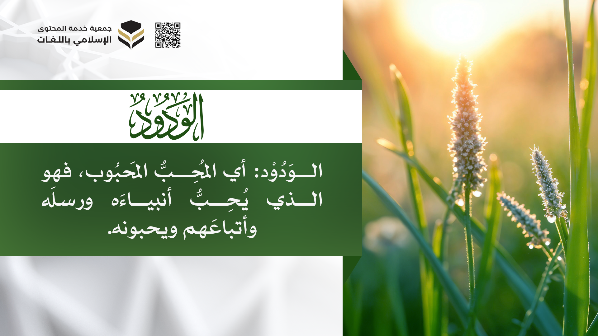 الودود