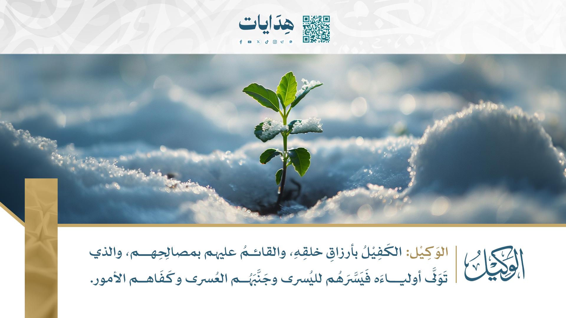 الوكيل