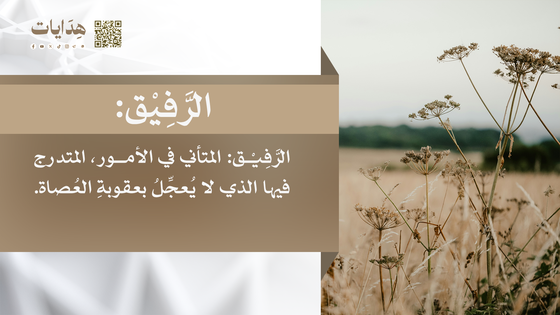 الرفيق