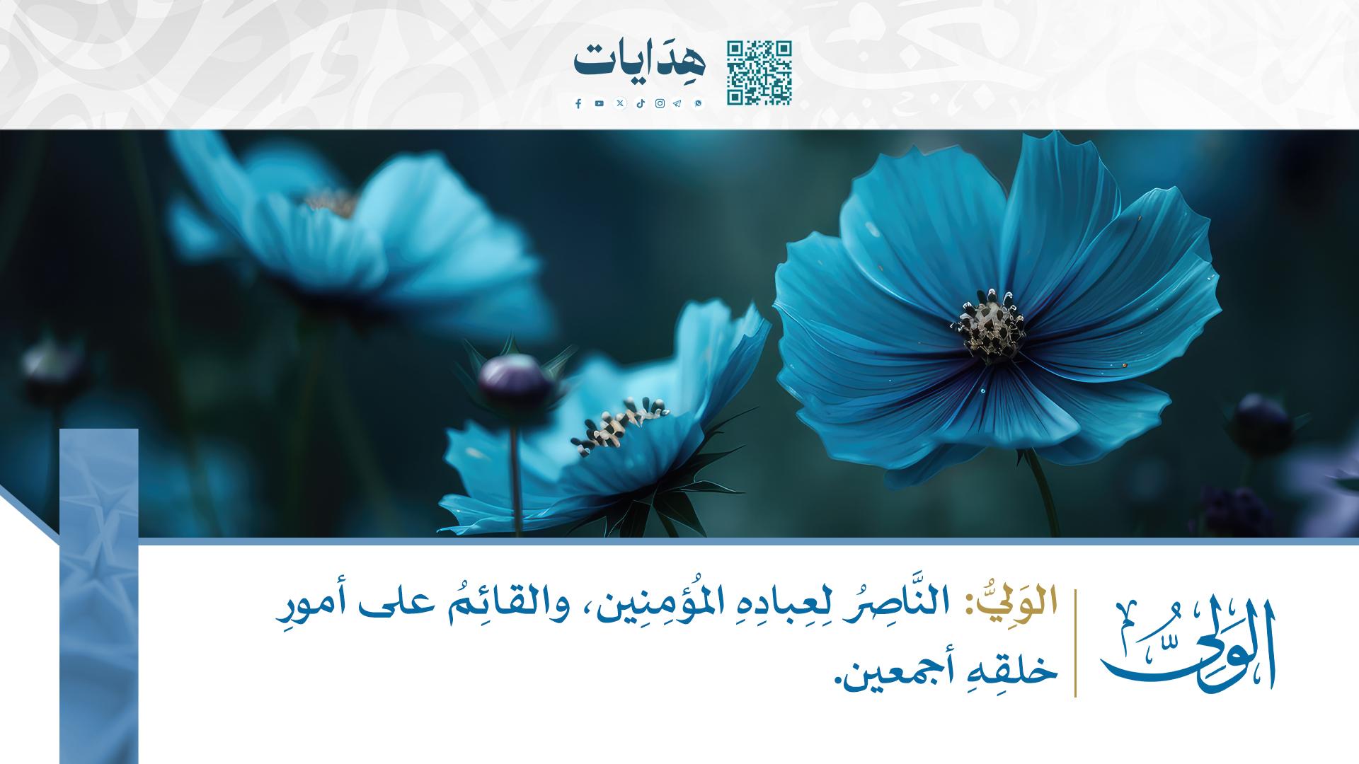 الولي