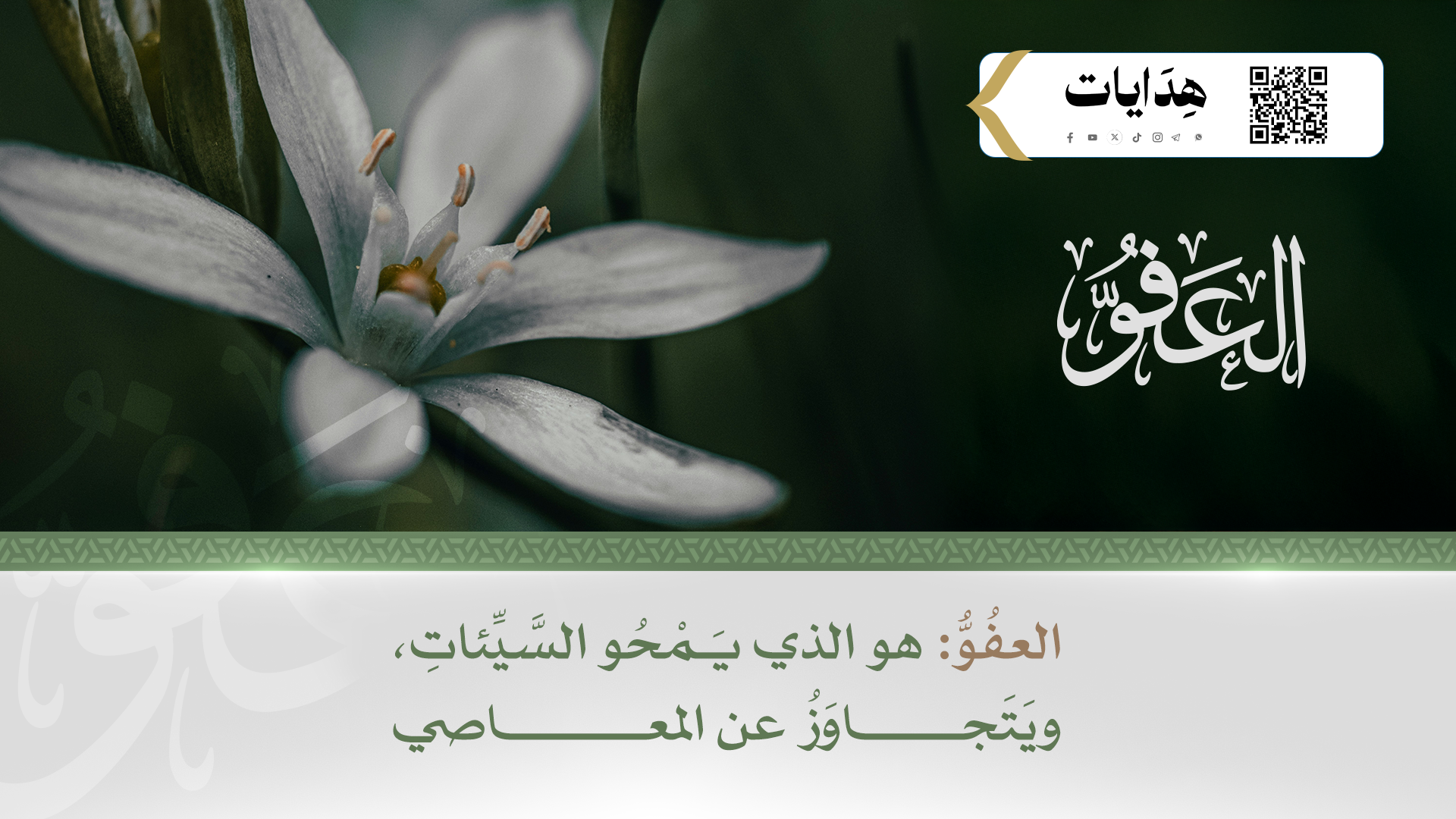 العفو