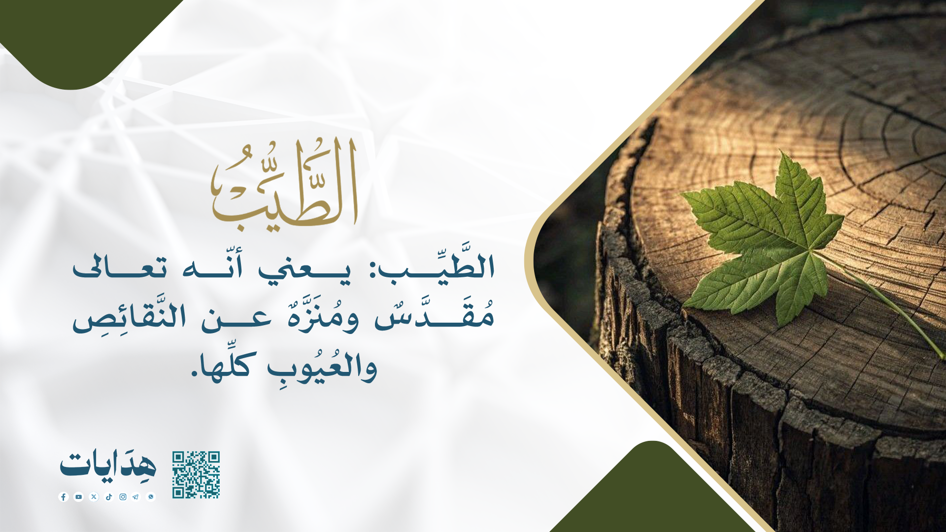 الطيب