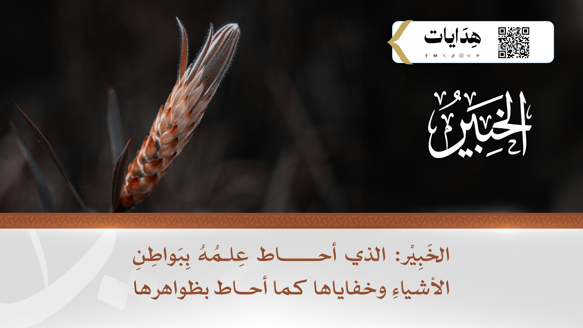 الخبير